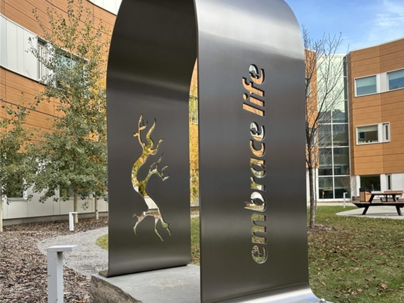 Embrace Life, a stainless steel sculpture installed outdoors